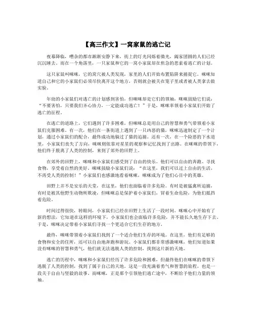 【高三作文】一窝家鼠的逃亡记
