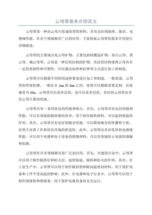 云母带基本介绍范文