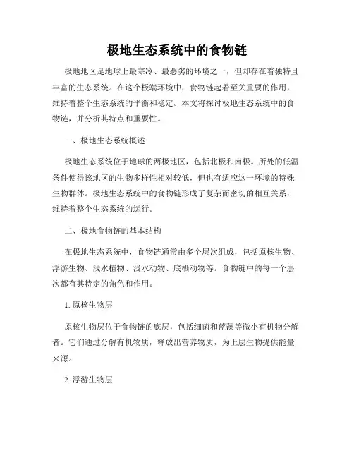 极地生态系统中的食物链