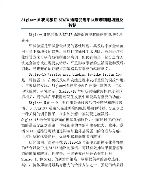 Siglec-15靶向激活STAT3通路促进甲状腺癌细胞增殖及转移