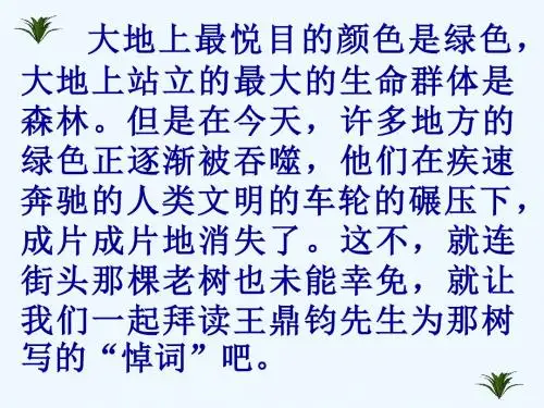 语文人教版九年级下册《那树》课件