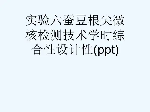 实验六蚕豆根尖微核检测技术学时综合性设计性(ppt)