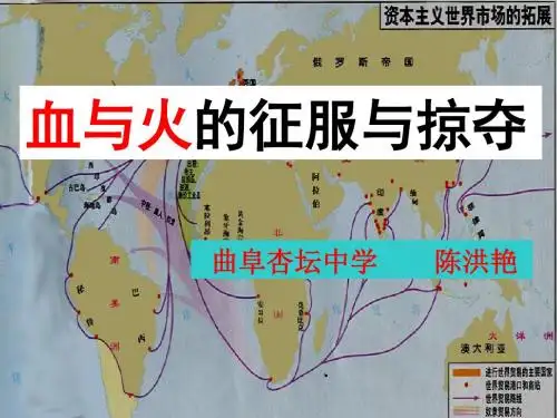 人民版高一历史必修二专题五走向世界的资本主义市场第2课血与火的征服与掠夺 课件 (共18张PPT)