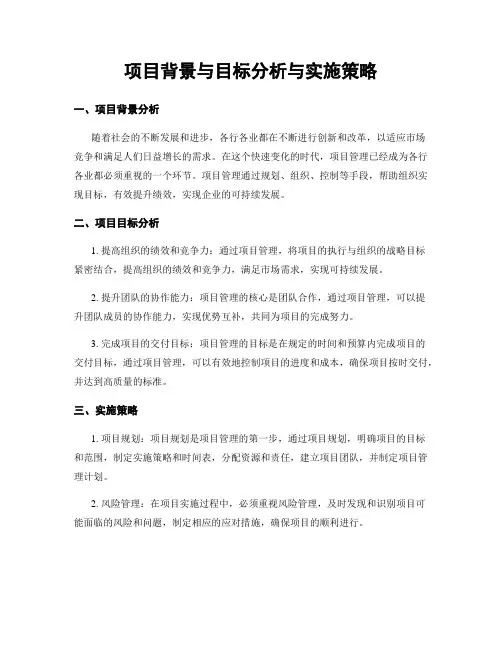 项目背景与目标分析与实施策略