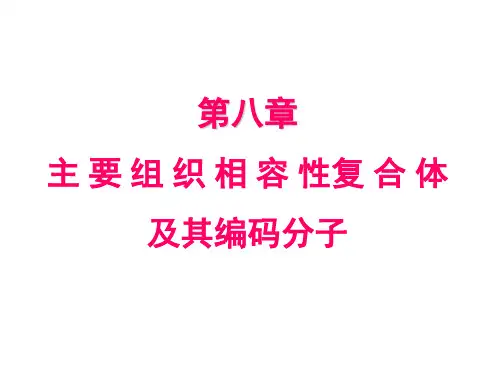 第八章  MHC