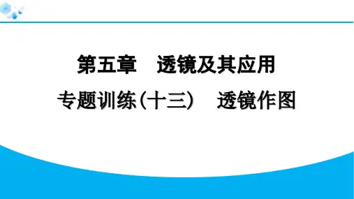八年级上册物理【课后练】专题训练(十三) 透镜作图