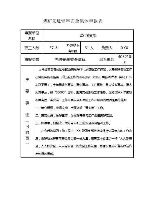 煤矿青年安全申报材料