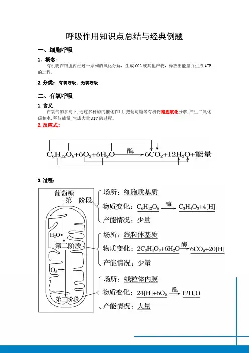 呼吸作用知识点总结与经典例题
