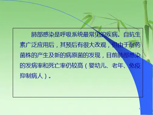 抗生素在肺部感染中的应用pdf(共77张PPT)