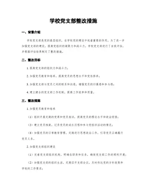 学校党支部整改措施