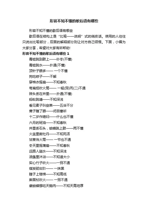 形容不知不懂的歇后语有哪些
