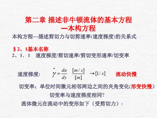 非牛顿流体的传递过程特性-2