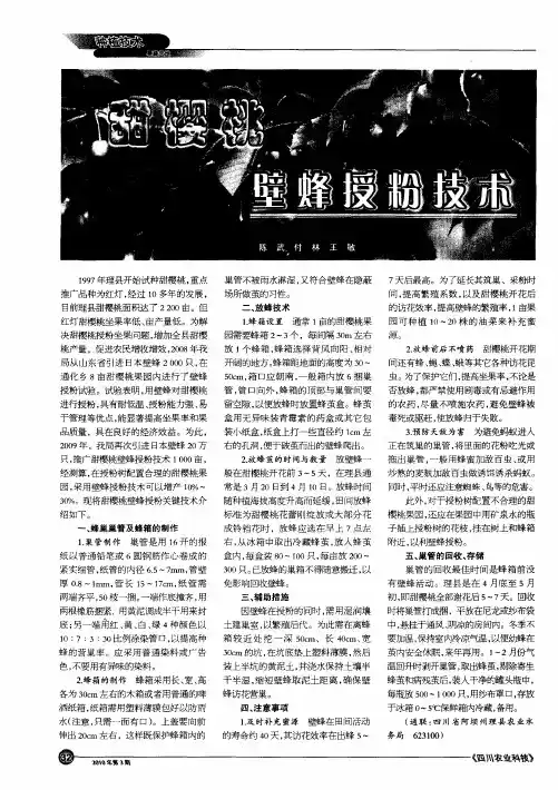 甜樱桃壁蜂授粉技术