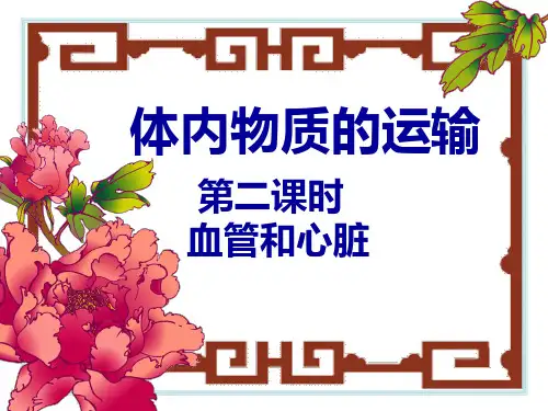 九年级下科学血管和心脏
