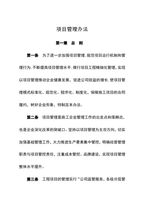 项目管理办法