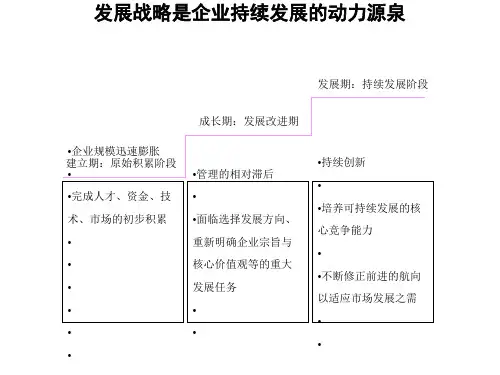 战略分析工具模板(DOC59张)
