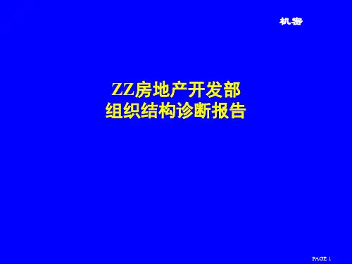 组织结构诊断报告