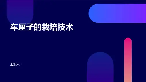 车厘子的栽培技术