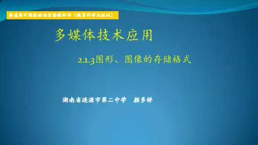 2.1.3图形、图像的存储格式