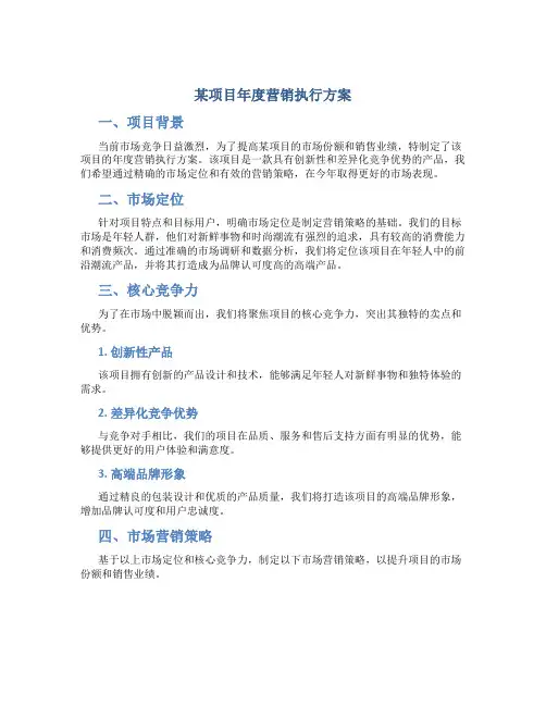 某项目年度营销执行方案