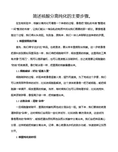 简述核酸分离纯化的主要步骤。