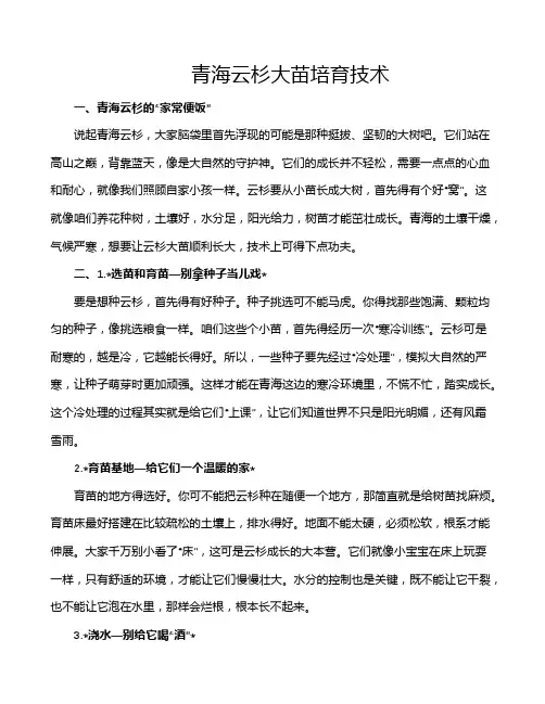 青海云杉大苗培育技术