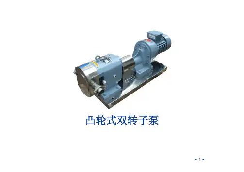 转子泵选型大全