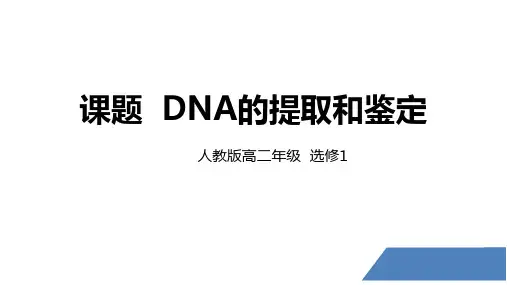人教版高中生物选择性必修第3册 DNA的提取和鉴定