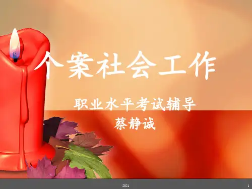 个案工作(中级)PPT课件