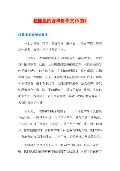 校园里的香樟树作文(8篇)