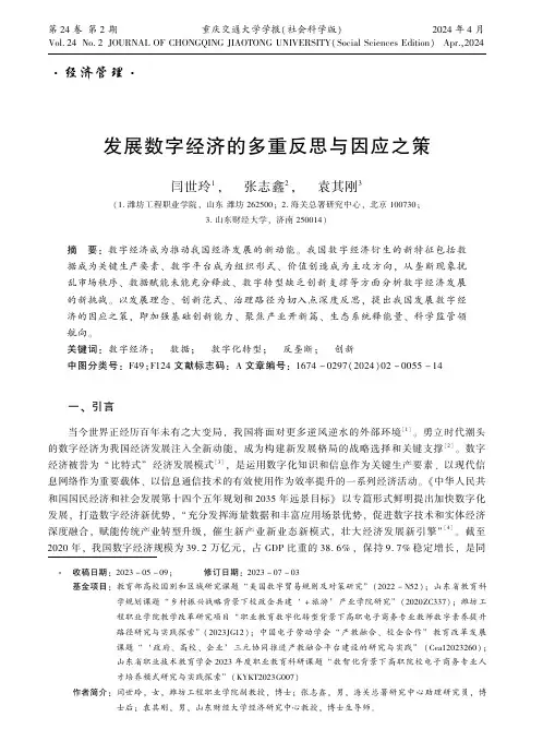 发展数字经济的多重反思与因应之策