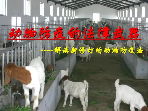 解读新动物防疫法PPT课件