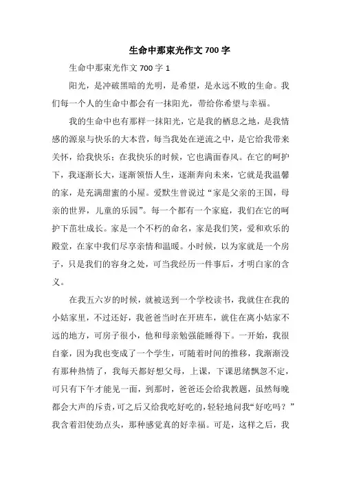 生命中那束光作文700字