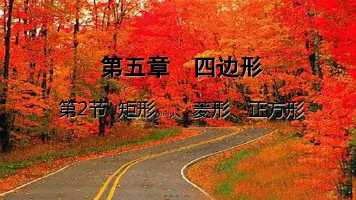 中考数学一轮复习 第五章 四边形 第2节 矩形、菱形、正方形课件