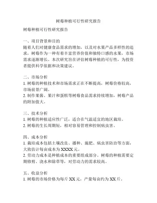 树莓种植可行性研究报告