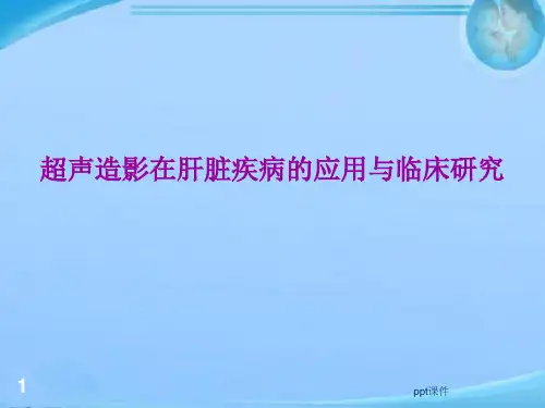 超声造影在肝脏疾病的应用  ppt课件