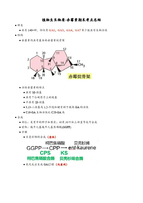 植物生长物质-赤霉素期末考点总结