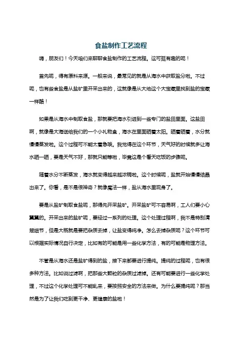 食盐制作工艺流程