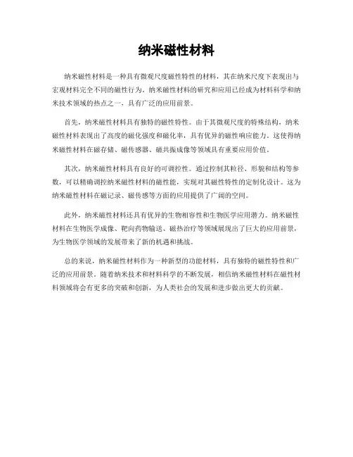 纳米磁性材料