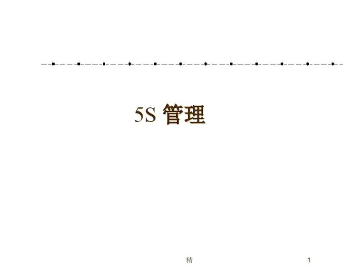 5S管理PPT课件