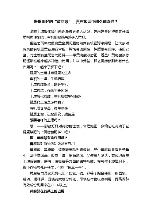 慢慢崛起的“黄腐酸”，真有传闻中那么神奇吗？