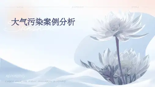 大气污染案例分析