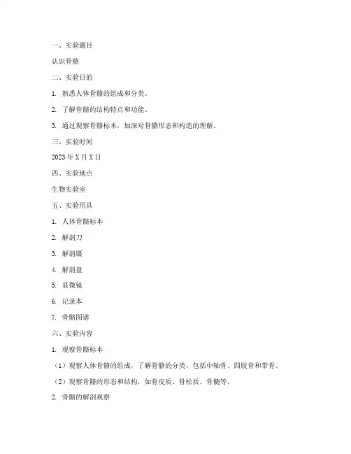 认识骨骼的实验报告