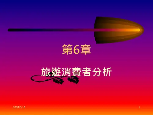 旅游消费者分析(PPT 14页)