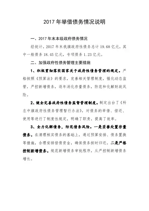 2017年举借债务情况说明