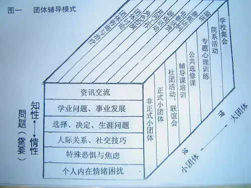 团体咨询理论与技术