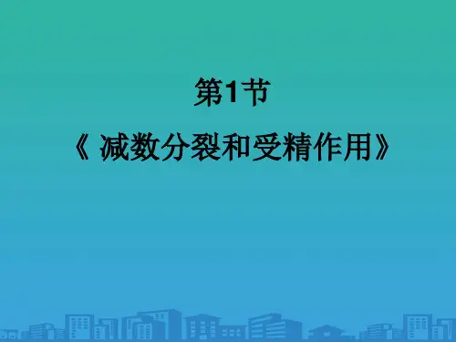 人教版高中生物必修二第2章第1节-《-减数分裂和受精作用》课件(共43张PPT)