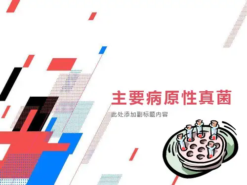 主要病原性真菌