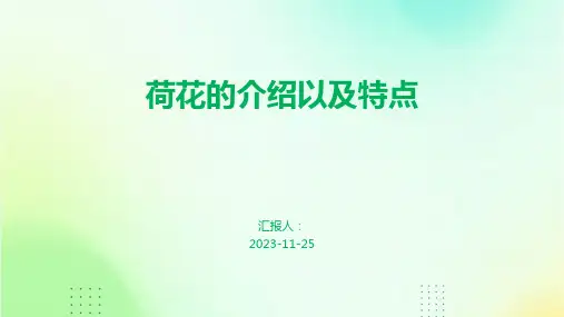 荷花的介绍以及特点