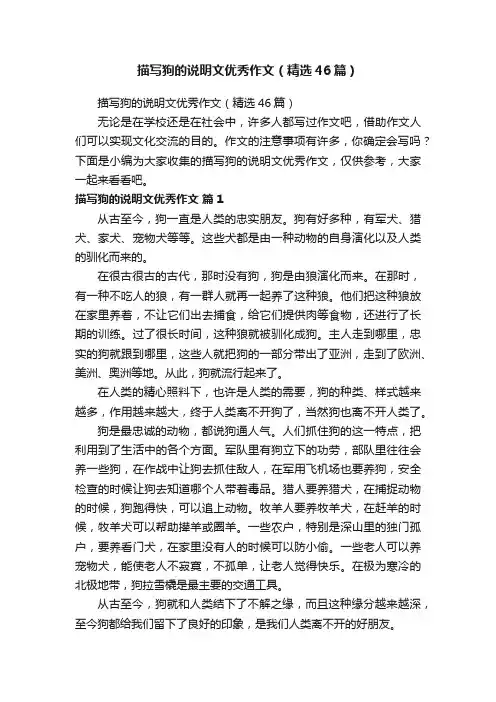 描写狗的说明文优秀作文（精选46篇）